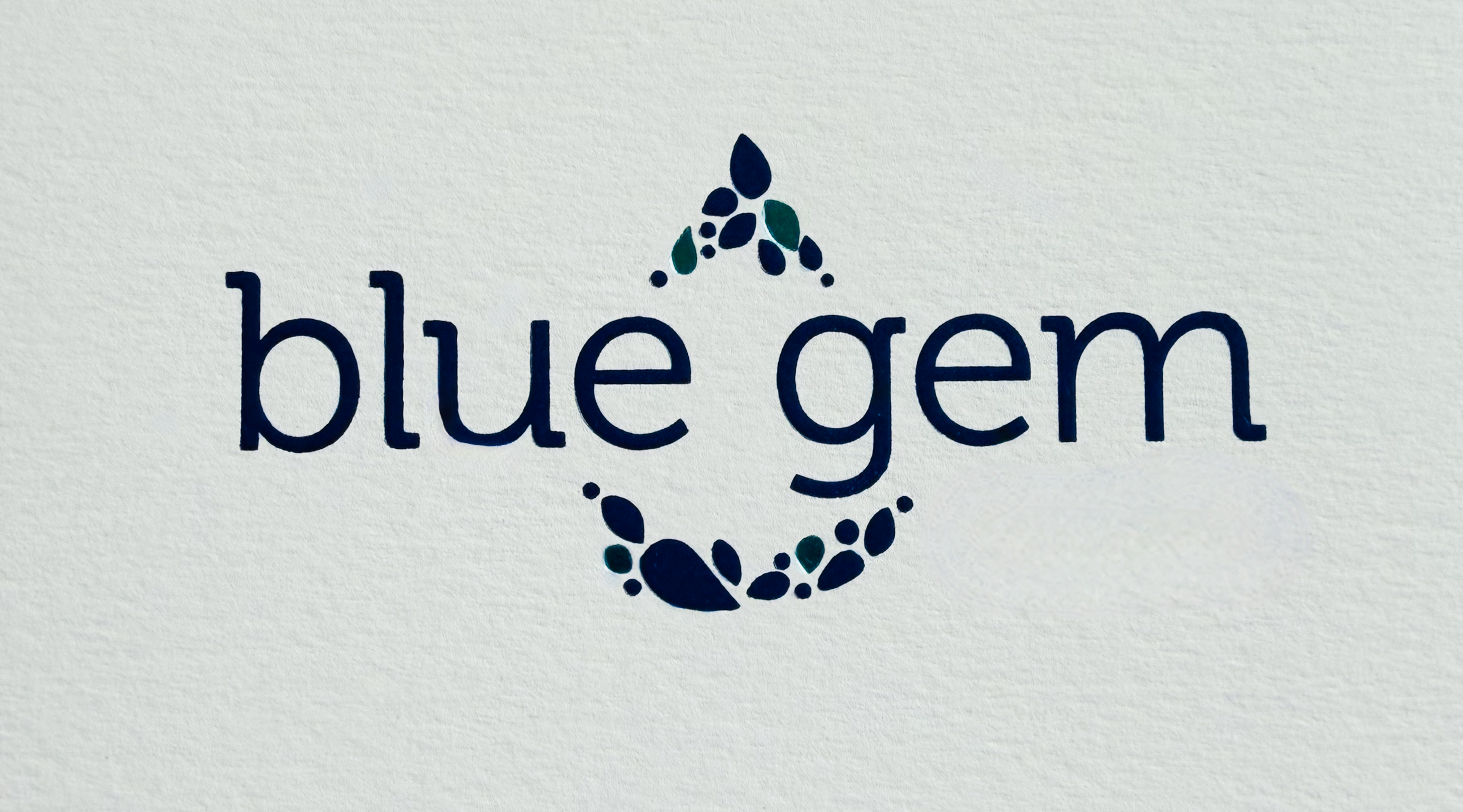 Blue Gem Studio